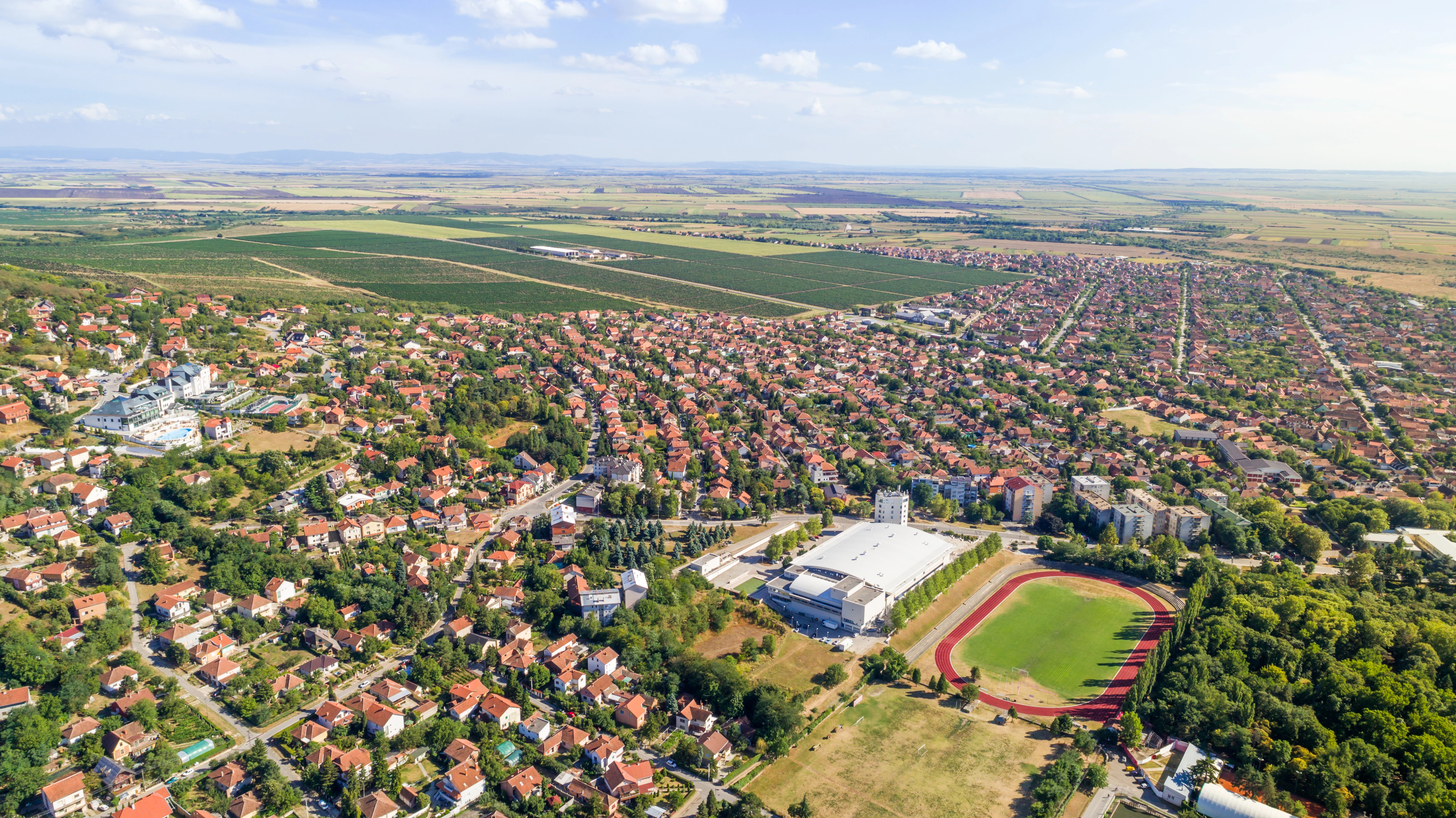 Vršački vinogradi pozadina za ekran